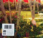 Rival Sons / Feral Roots (CD)