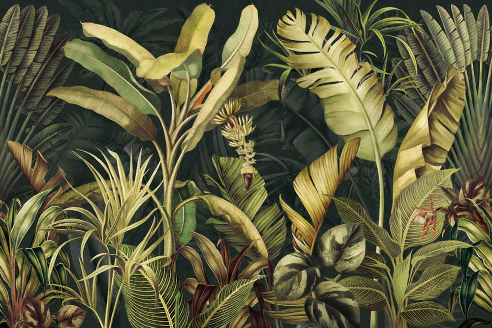 Коллекция Тропическое