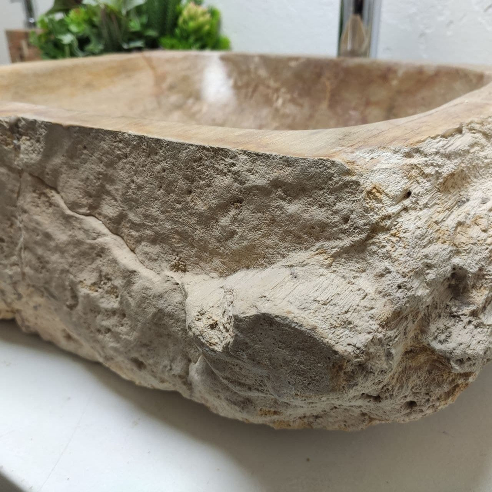 Раковина из окаменелого дерева FossilBasin OD-61259 47*43*17