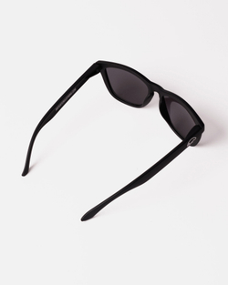 Очки Anteater Agent-Black