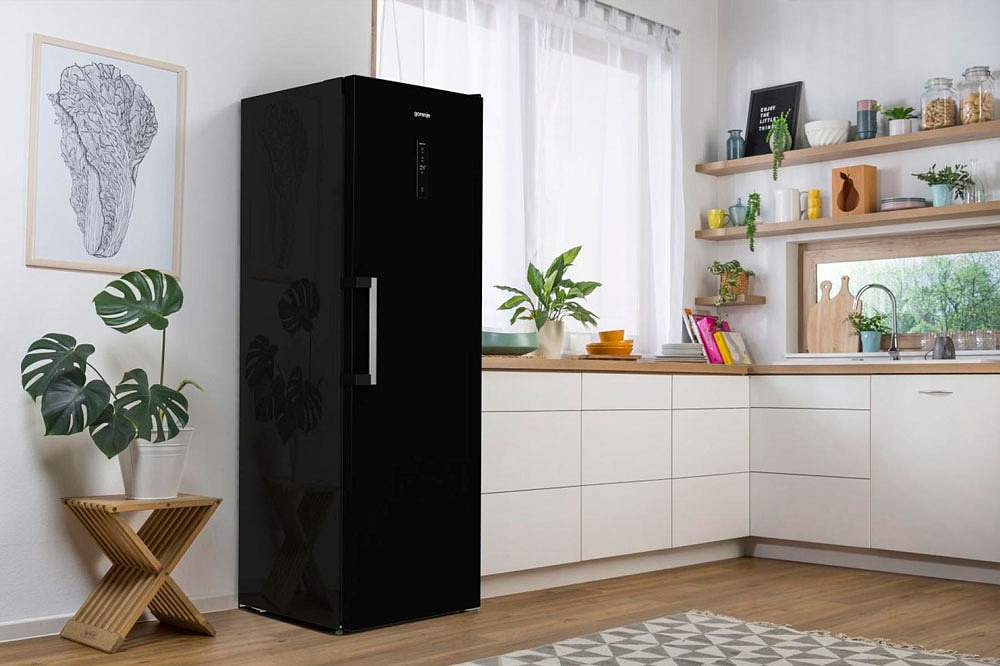 Отдельностоящий однокамерный холодильник Gorenje R619EABK6