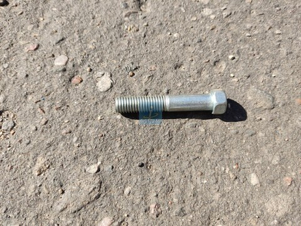 Болт М10х55х1.5 200320-П29