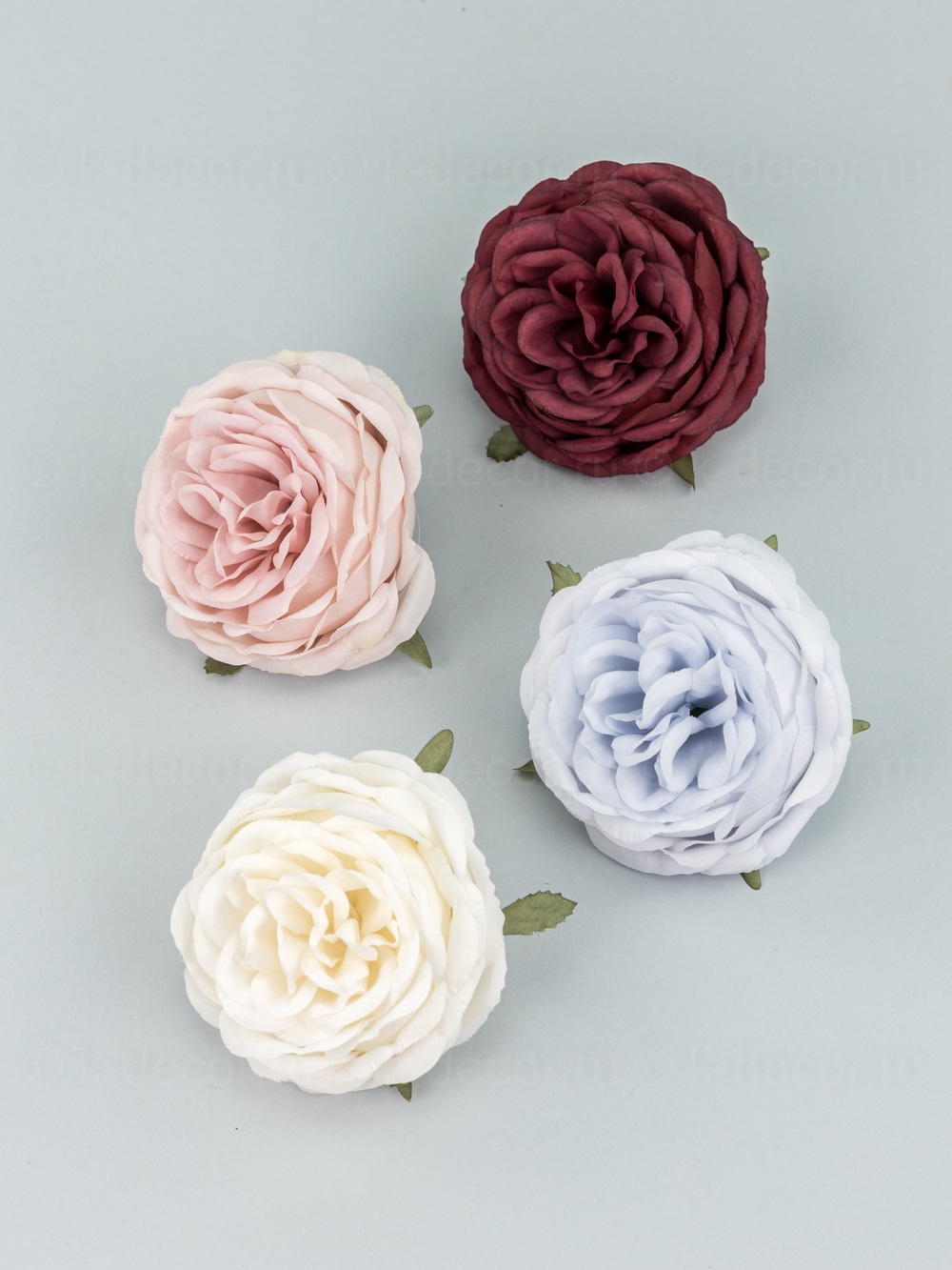 Голова пионовидной розы Дебора