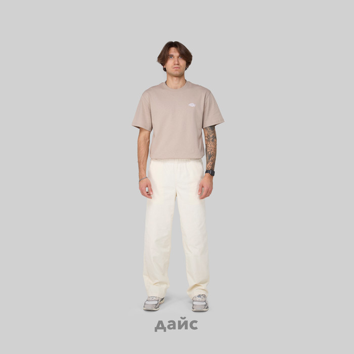 Брюки мужские Dickies Chase City Pant артикул:DK0A4YSAF901 - купить в магазине Дайс