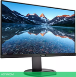 Монитор Philips 243B9/00
