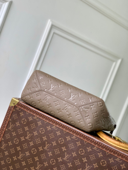 Louis Vuitton All In One PM