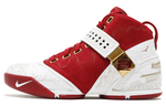 Кроссовки Nike Lebron 5 China Edition