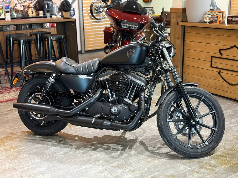 Harley-Davidson Iron 883 (2019)