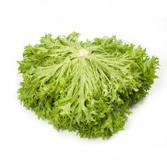 ЭКСПИРИЕНС семена салата (Rijk Zwaan | Alexagro)