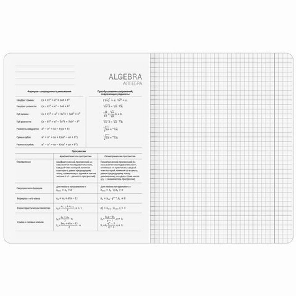 Тетради предметные, КОМПЛЕКТ 12 ПРЕДМЕТОВ, 48 л., SoftTouch, BRAUBERG "РИТМ", 405181