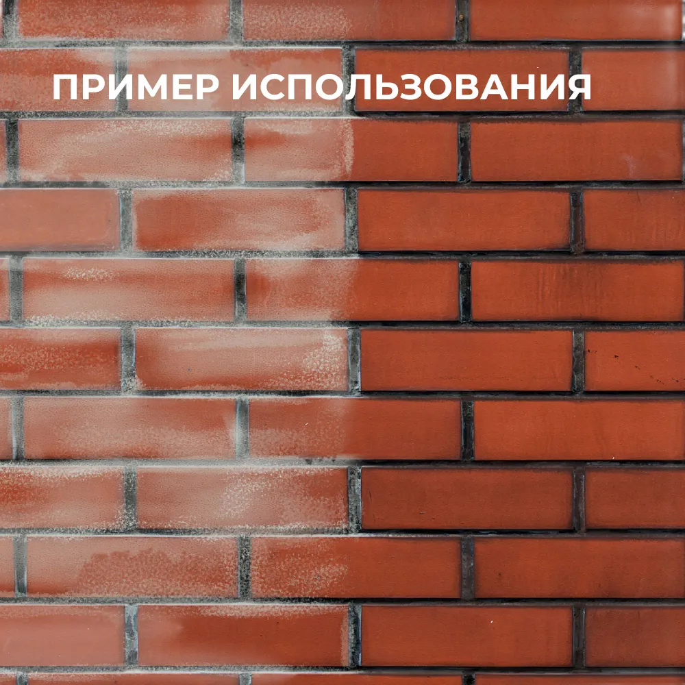 СРЕДСТВО Д ОЧИСТКИ ФАСАДОВ ЗДАНИЙ ОТ ВЫСОЛОВ,КОНЦЕНТРАТ 1:2 НЕОМИД 550 (1Л)