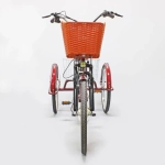 Электровелосипед Green Camel Трайк-24