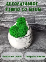Декоративное кашпо капля из гипса со мхом