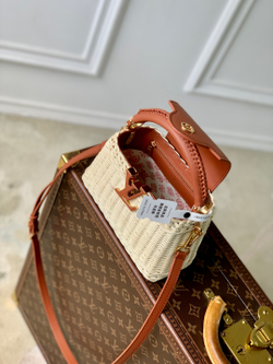 Louis Vuitton Capucines Mini