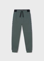 спортивные брюки