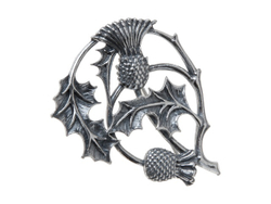 "Кардус" брошь в серебряном покрытии из коллекции "Флорина" от Jenavi