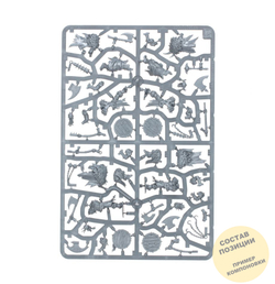 Chaos Marauders 2025 (10)