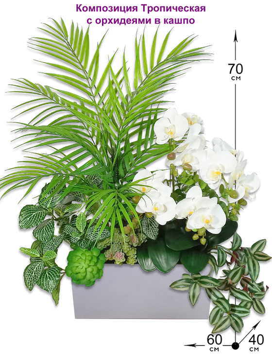 Композиция Тропическая с белыми орхидеями 70см в кашпо