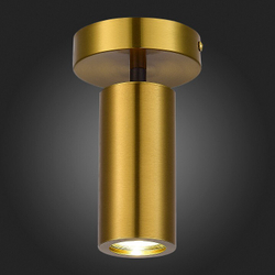 Светильник на штанге ST-Luce Talia SL1215.402.01