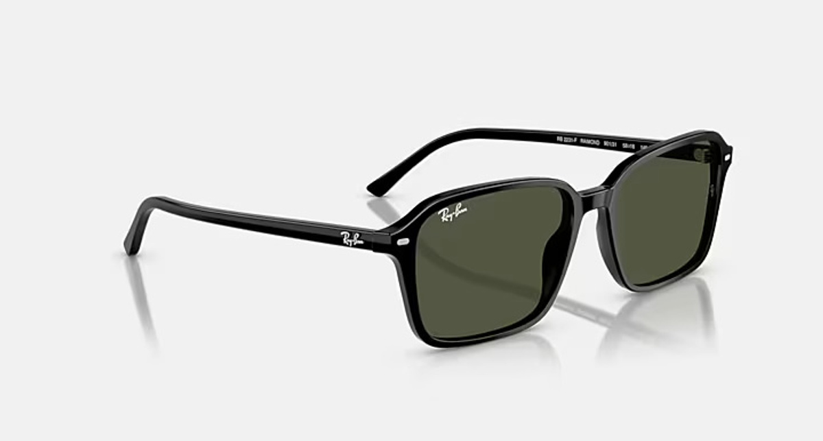 RAY-BAN RAIMOND RB2231-F 901/31