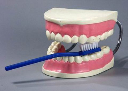 Модель «Уход за зубами»