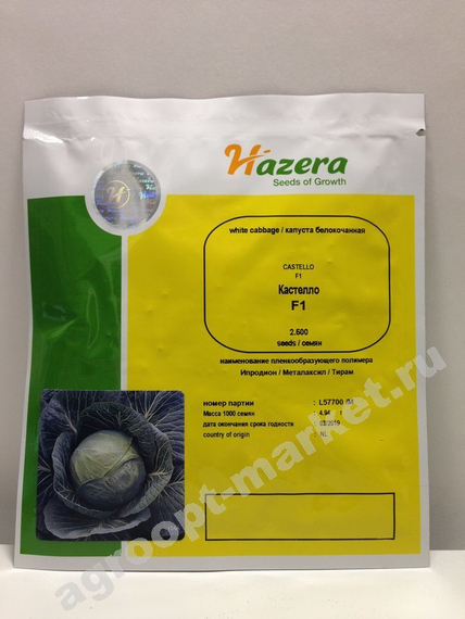 Кастелло F1 семена капусты белокочанной (Hazera / Хазера) – фото 2
