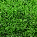 Искусственное растение шар «Самшит» клубок D-38см Ultramarine