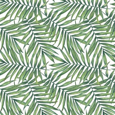 Акварельные ветви пальмы