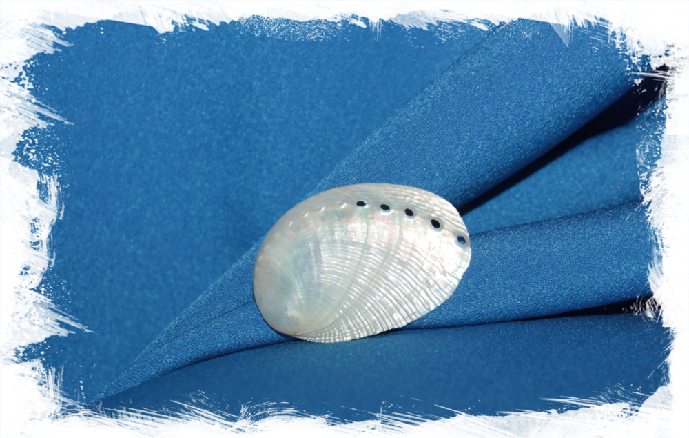 Перламутровая ракушка для украшений Халиотис, Галиотис, Морское ушко