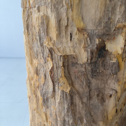 Раковина напольная из окаменелого дерева ODN-04180 (47*41*90 см)