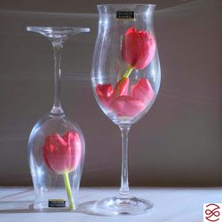 Набор бокалов для вина Crystalite Bohemia Safia 490мл (6 шт)