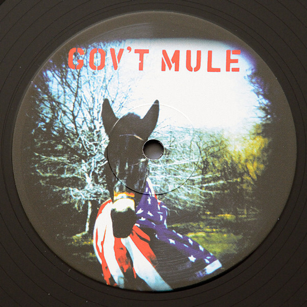 Gov't Mule / Gov't Mule (2LP)