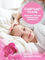 DUTYBOX Гель для стирки 2в1 с пятновыводителем Розовый пион 1л