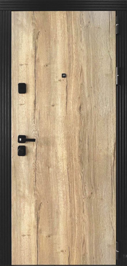 Дверь входная Бруно