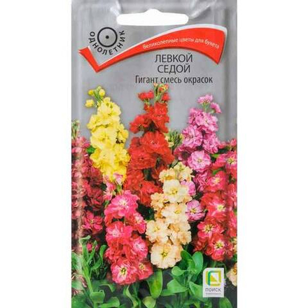 Левкой Гигант смесь 0,1г Ц Поиск
