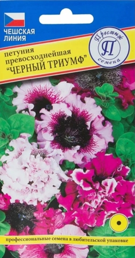 Петуния  Черный Триумф