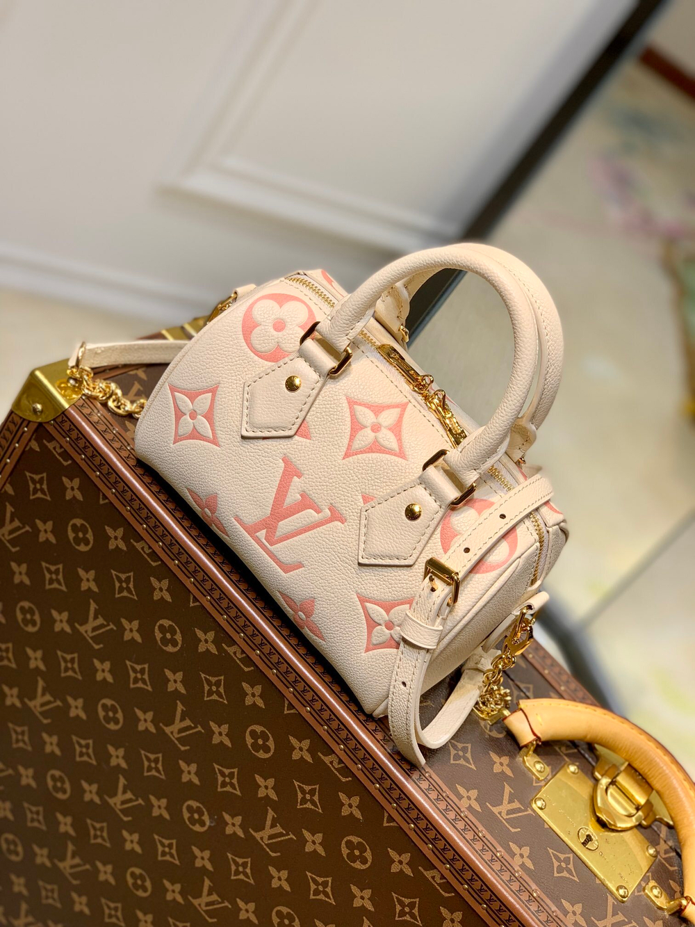 Louis Vuitton Speedy 20