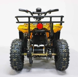 Электроквадроцикл Green Camel Гоби K45 (36V 800W R6 Цепь) быстросъем, ножной тормоз