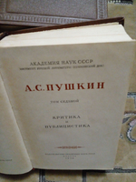 А. С. Пушкин. Собрание сочинений. Том 7. Критика и публицистика