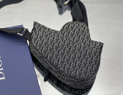 Christian Dior Saddle 26 cm