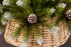 Ель Женева 230см с шишками заснеженная Triumph Tree