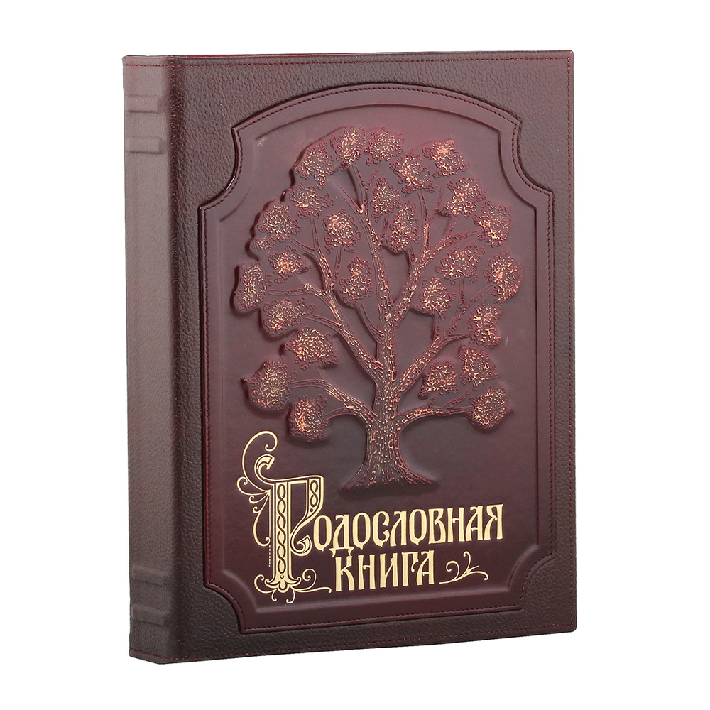 Родословная книга Изысканная с росписью