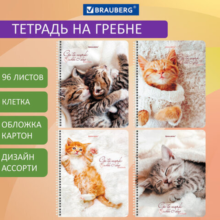 Тетрадь А5, 96 л., BRAUBERG, гребень, клетка, "Котики"