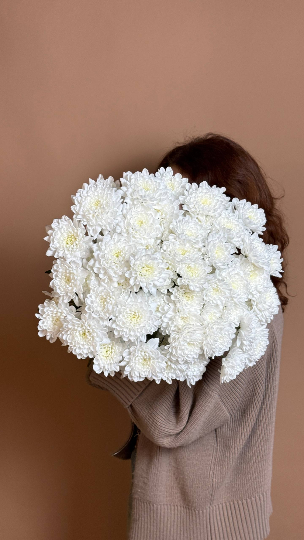 Охапка хризантем сорта Алтай, белые, 10 веток