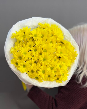 Букет с 7 кустовыми хризантемами сорта "Kennedy Yellow"