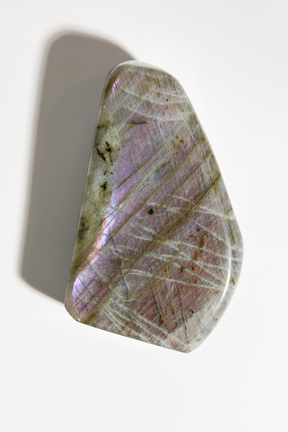 Срез Лабрадора M