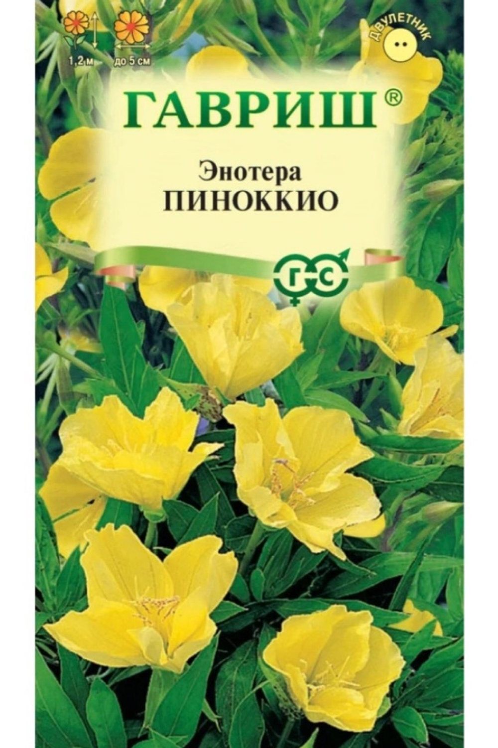 Энотера Пиноккио 0,3 г СМЦ-538
