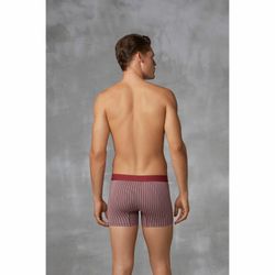 Мужские трусы боксеры бордовые в полоску Doreanse 1866