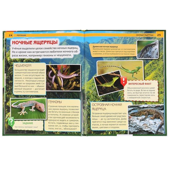 Энциклопедия А4 с развивающими заданиями. Рептилии. Формат: 197х255 мм. 48 стр. Умка