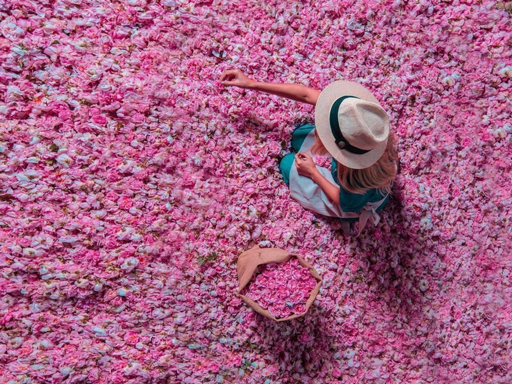 Поля дамасской розы и озеро Салда